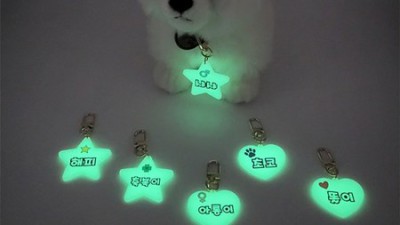어머! 우리 댕댕이 밤 산책 필수템! 야광인식표 득템 후기🐶✨